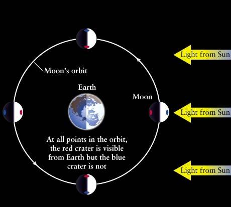 The Moon s Rotation The Moon rotates on its own axis once per orbital cycle.