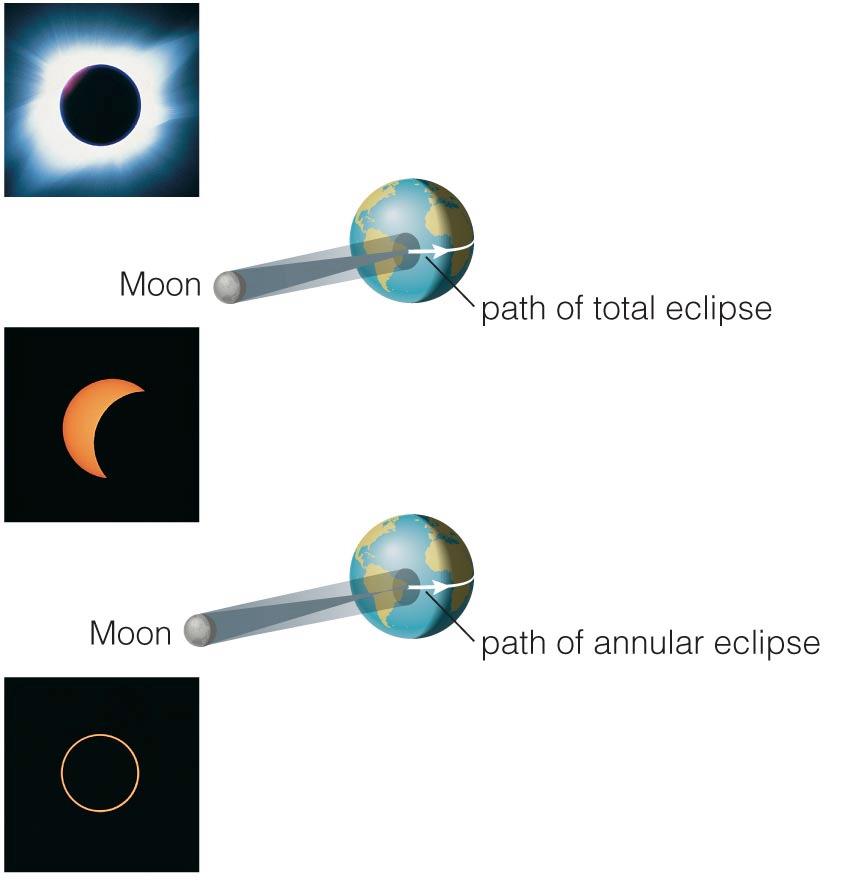 Solar eclipses can be partial, total, or annular.