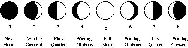 b) The relative positions of Earth, Moon, and Sun.