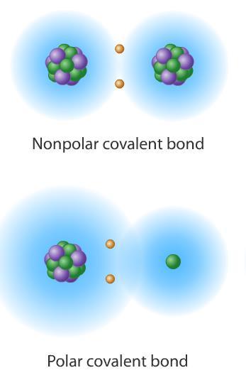 6.1 Bond Determination Polar covalent bond Covalent bond in which the