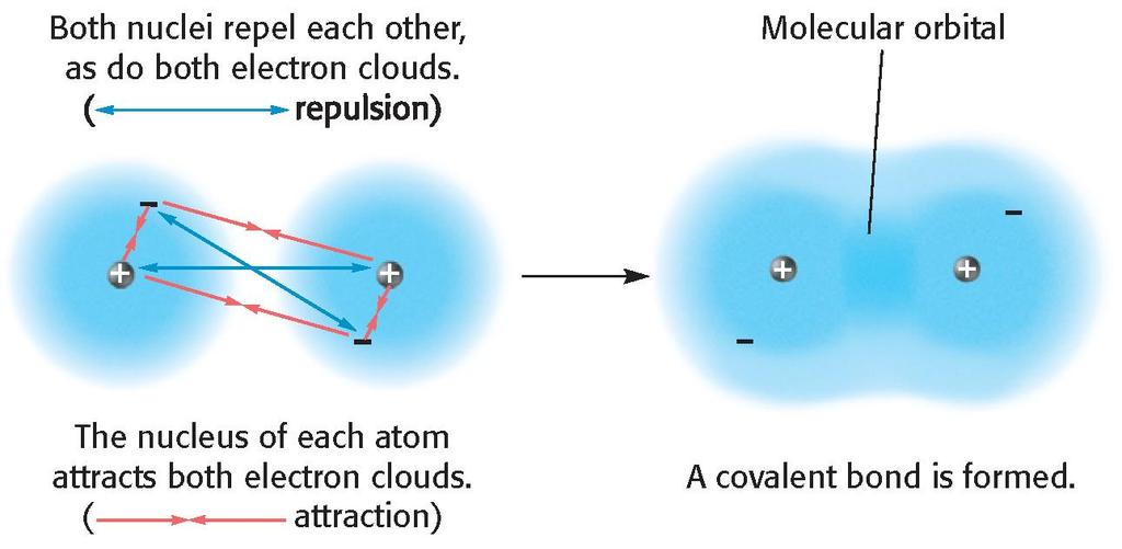 6.2 Covalent Bond Formation Most atoms have lower potential energy when they are bonded to other atoms than they have as are independent particles.