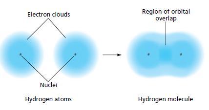 6.2 Covalent Bond Characteristics Atoms release energy as they form bonds, equal to the decrease in PE so conversely, energy must be added to separate bonded atoms Bond energy The energy required to