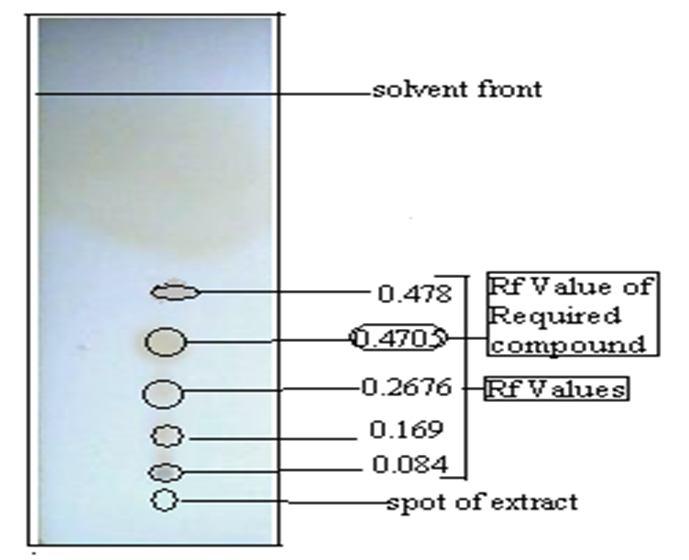 Fig. 1: TLC of isolated compound [Betulin] in iodine chamber Fig. : TLC of ethanolic extract in iodine chamber S. No. 1.. 3.. 5. 6.