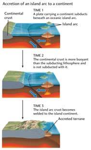11 How Continents Grow: Accretion of