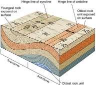 Types of Geologic Structures Folds are wavelike bends in layered rock Represent rock
