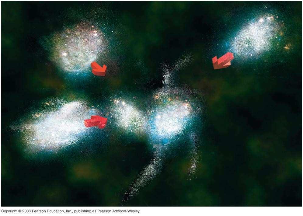 of Galaxy Formation Detailed studies: Halo stars formed