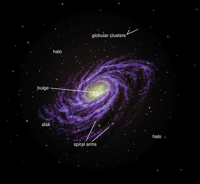 Top View of the Milky Way The MW is a spiral galaxy, or a late type galaxy.