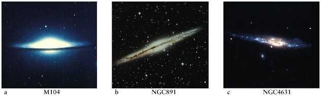 The tightness of a spiral galaxy s arms is correlated