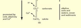 reaction (aerobic systems). In the absence of O other reactions take place.