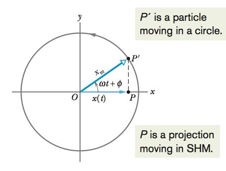 Projection of uniform circular motion Consider a particle P on a circular trajectory of radius x m with constant angular