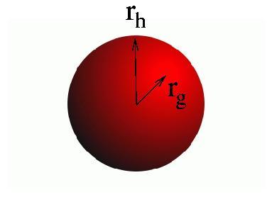 Conformation: r h vs. r g solid sphere 3-arm star polymer r r g h 0.77 r r g h 1.
