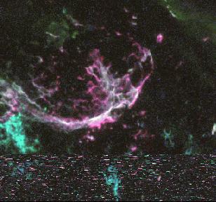 Cassiopeia A supernova