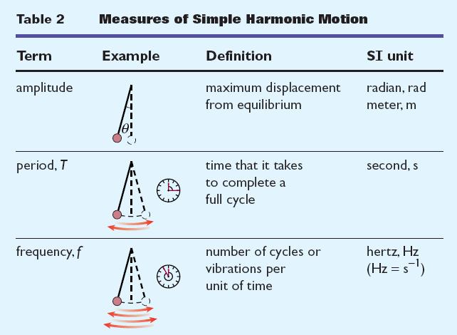 Section 2 Measuring Simple Harmonic