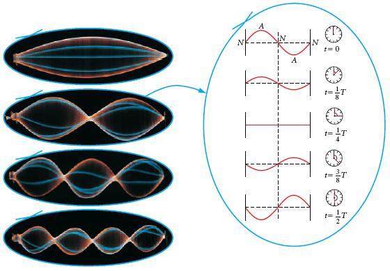 Section 4 Wave Interactions Standing Waves This photograph shows four possible standing waves that can