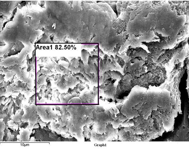 Intensity material. In addition, the scanning area was the interior of the CPVC particles, which proved that chlorination occurred inside the PVC particles, not only on the surface.
