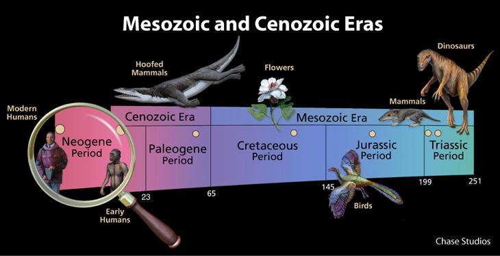 Mesozoic Era (251 65.
