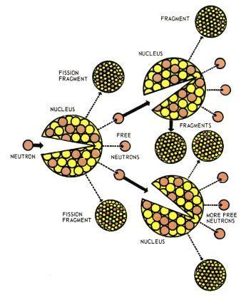 Nuclear Fission Chain Reaction The emitted neutrons strike more uranium atoms, causing