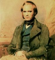 Theory of Evolution by Natural Selection Continued Charles Darwin companion on H.M.