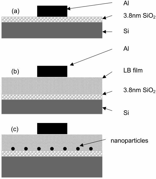 nanoparticles soluble in various organic liquids,