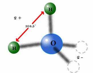 hydrogen atoms on one side of a water molecule the oxygen, being a stronger electron grabber than hydrogen is able to pull the electrons shared with each hydrogen towards it.