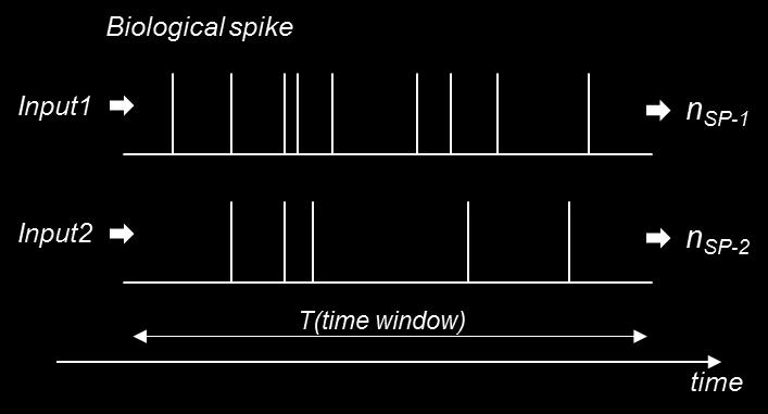 pattern (Spike ordering in timing) -