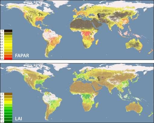 Status of the Global Observing System for Climate 174 and contribute to photosynthesis.
