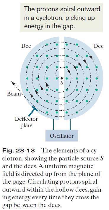 28.7: Cyclotrons : Suppose that a proton, injected by source S at the center of the cyclotron in Fig. 28-13, initially moves toward a negatively charged dee.