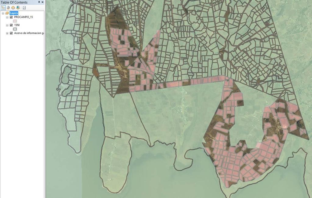 Figures 5: Land plots from PROCAMPO (pink) to be incorporated into Census frame.