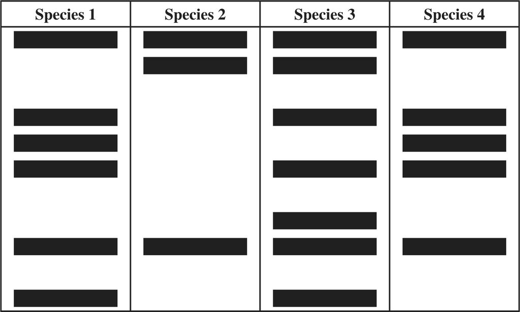 8. The diagram below depicts the DNA fingerprints of four fish species. 9. The diagram below shows one example of an evolutionary line for birds. Which two species of ish are most closely related? A.