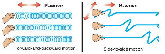 19.1 Wave motion Two type of seismic waves that are important are primary and secondary waves.