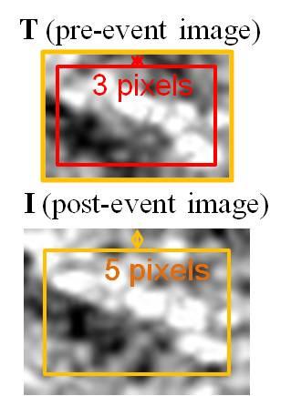 The target and search areas were resampled to 0.25 m/pixel by cubic convolution to 1/5 of the original pixel size. The shift of building shapes could then be detected at a sub-pixel level.