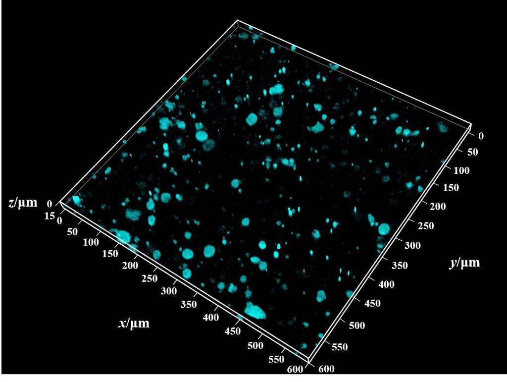 Fig. S9 3D representation of fluorescence microscopy image for 5%