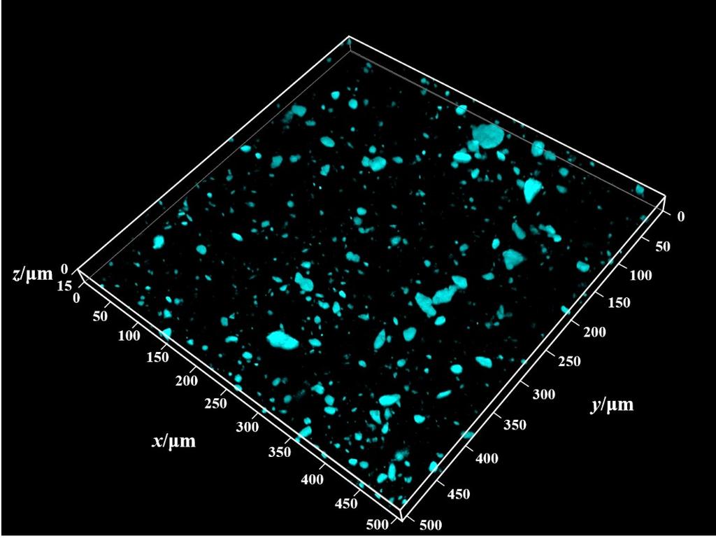 Fig. S11 3D representation of fluorescence microscopy image for 5%
