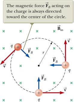 Moving charged particles in a uniform B field travel in circles or helices. Simplest case: qv B F always points toward the center of a circular path.