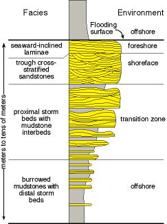Sedimentary environments that started out side-by-side will end up