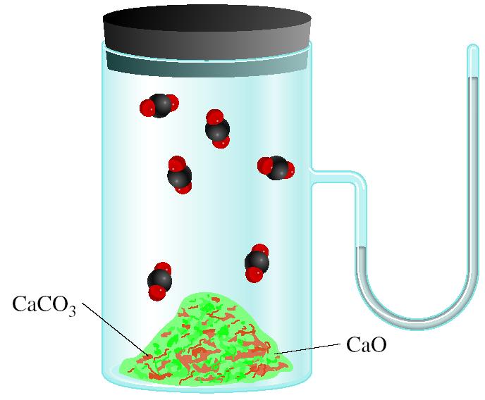 CaCO 3 (s) CaO (s) + CO 2 (g) P CO2 = K p P CO2
