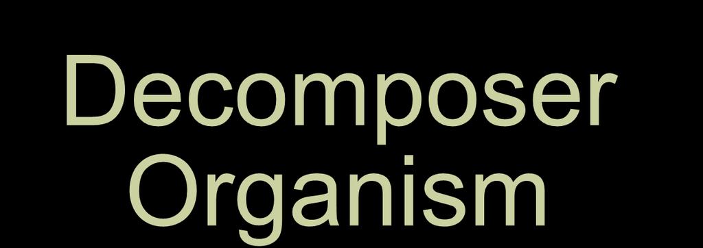 Decomposer Organism an