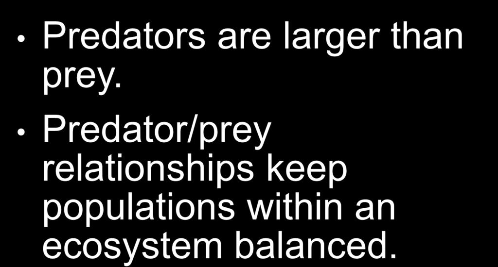 Predator/Prey Relationships