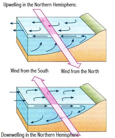 Where water converges, warmer surface water is