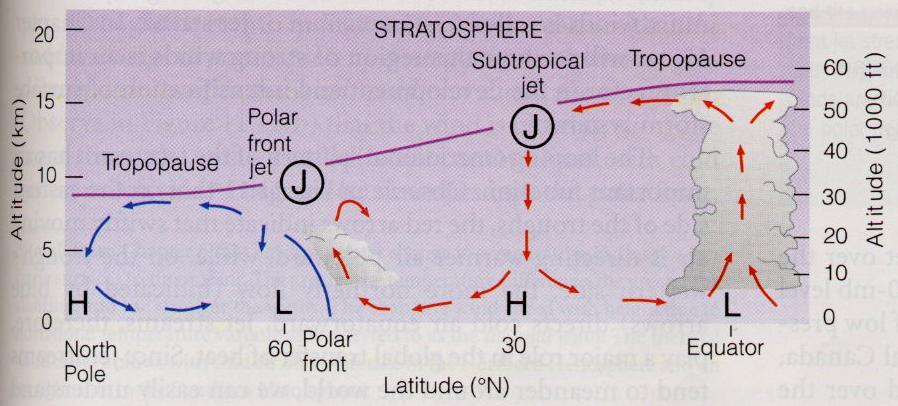 (subtropical and polar front) at tropopause in NH When