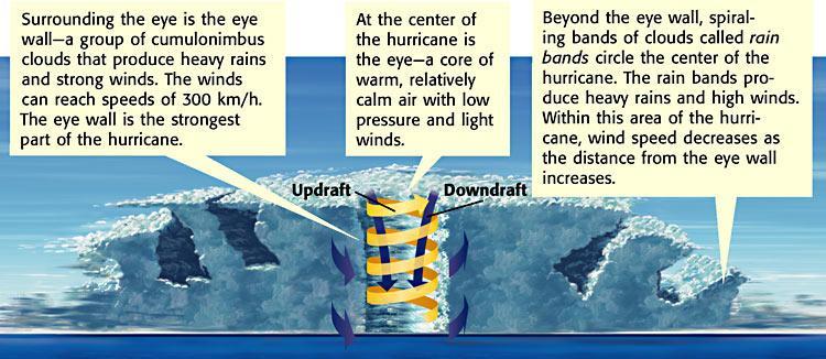 Hurricanes A large, rotating tropical weather system that has wind speeds of at least 120 km/h is called a hurricane. A hurricane is shown in Figure 6.