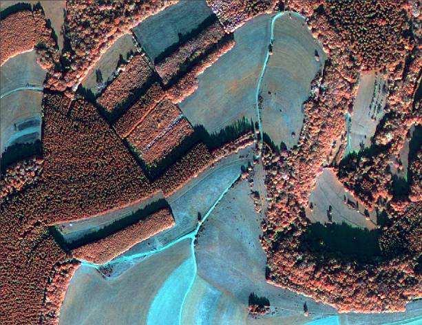 high resolution satellite images false