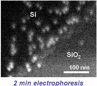 Summary We have demonstrated electrostatic selective assembly of colloidal Au nanoparticles on Si