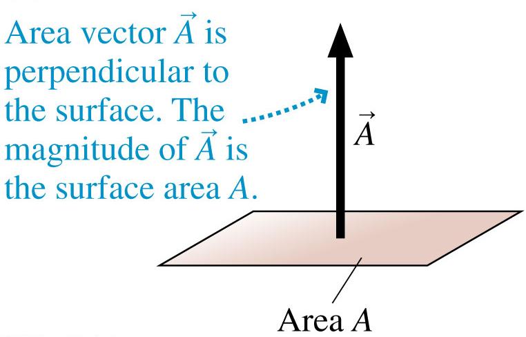 The Area Vector Before defining the electric flux, we need to