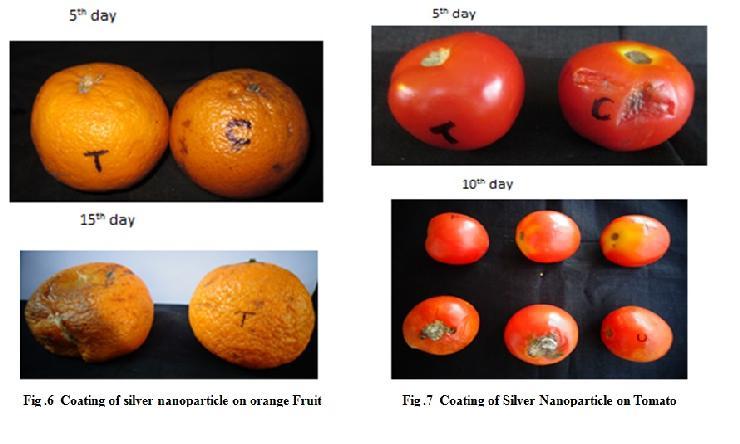 In the present study we coated Silver Nanoparticles on tomato and orange.