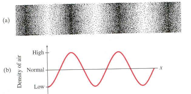 Transverse vs Longitudinal Waves Transverse: Displacement of particle is perpendicular to the