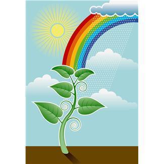 Photosynthesis Water is one of the raw materials needed for
