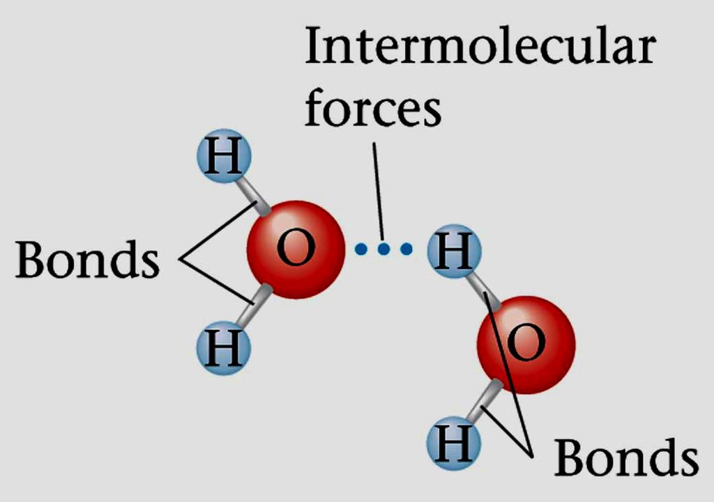 What forces hold molecules together to make liquids and solids?