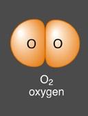 Example O 2 Step 1: Count the total number of valence electrons from all the atoms in the molecule.