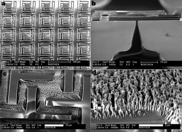 MTNorthenand K L Turner Figure 1. Electron micrographs of silicon dioxide platforms supported by single slender pillars and coated with polymeric organorods.
